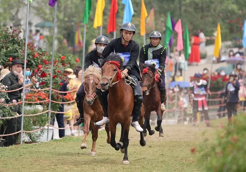 đua ngựa bắc hà