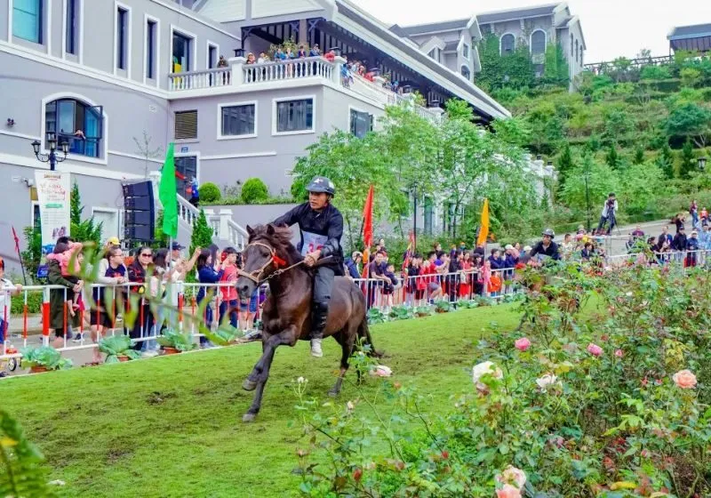 đua ngựa sapa